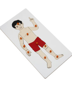 Montessori Premium Boy Puzzle Image1