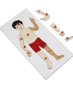 Montessori Premium Boy Puzzle Image2