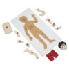 Montessori Premium Boy Puzzle Image3