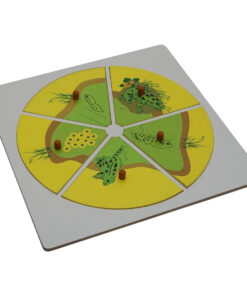 Montessori Premium Evolution Life Story of a Frog Image1