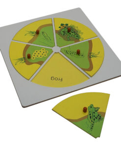 Montessori Premium Evolution Life Story of a Frog Image2