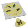 Montessori Premium Evolution Life Story of Butterfly Image2