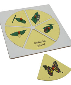Montessori Premium Evolution Life Story of Butterfly Image2