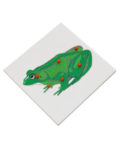 Montessori Premium Frog Puzzle Image1