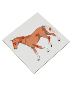 Montessori Premium Horse Puzzle Image1