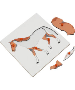 Montessori Premium Horse Puzzle Image2