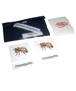 3 Part Nomenclature Cards: Animal Kingdom