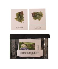 3 Part Nomenclature Cards: Plant Kingdom