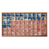 Montessori Premium Movable Alphabet Kannada: Single Box Matras Alphabet Image3