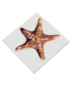 Montessori Premium Starfish Puzzle Image1