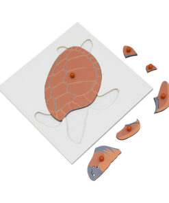 Montessori Premium Tortoise Puzzle Image2