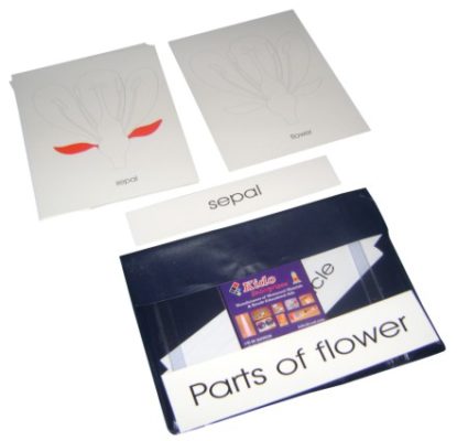 Terminology Cards: Parts Of A Flower