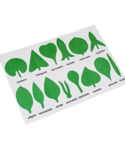 Montessori Premium Botany Cabinet Nomenclature Control Chart Image1