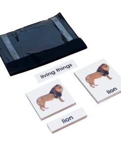 Montessori Premium 3 Part Nomenclature Cards: Living Things Image2