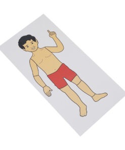 Montessori Premium Control Card Boy Puzzle Image1