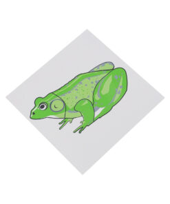 Montessori Premium Control Card - Frog Puzzle Image1