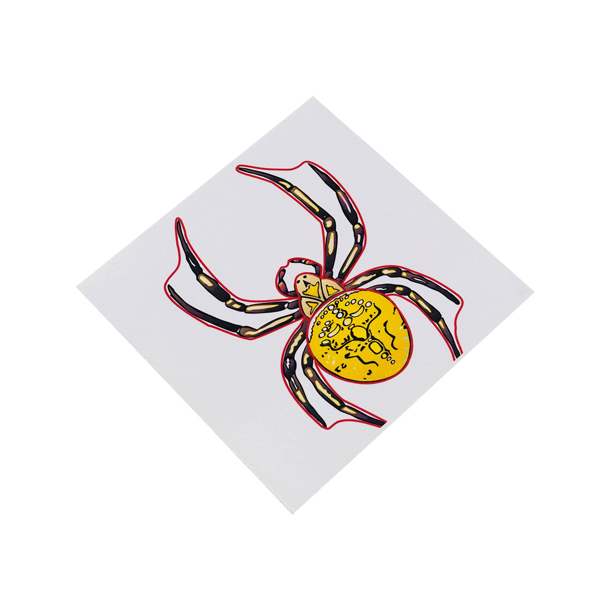 Spider Puzzle NEW Montessori Zoology Material