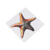 Montessori Premium Control Card Starfish Puzzle Image1