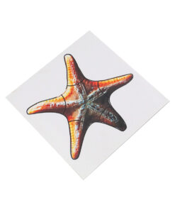 Montessori Premium Control Card Starfish Puzzle Image1