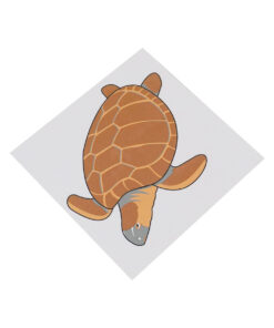 Montessori Premium Control Card Tortoise Puzzle Image1