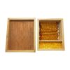 Montessori Premium Golden Beads for Dynamic Set Image3