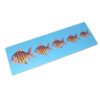 Size Variation Inset Board Fish