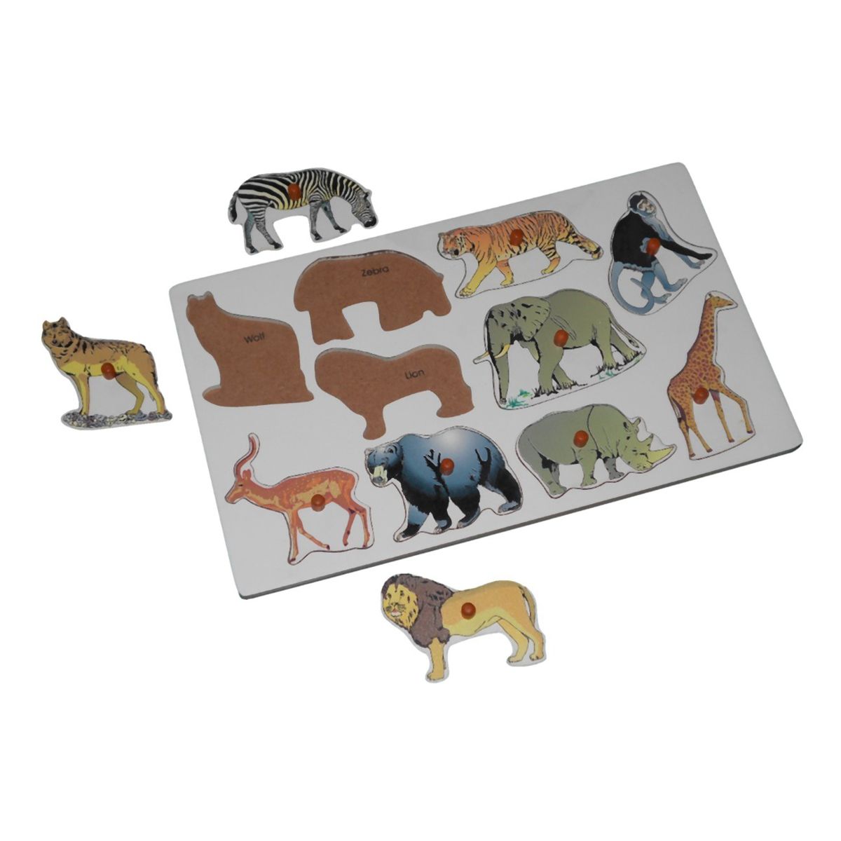 Name The Wild Animals – Montessori Materials, Learning Toys and Furniture  India