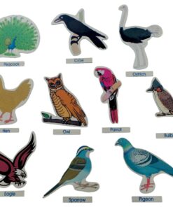 Birds Cut Outs Jumbo