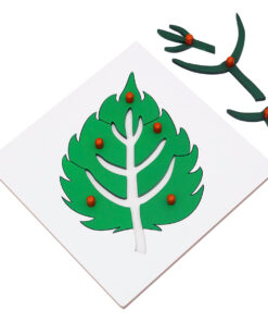 Montessori Premium Leaf Puzzle Image2