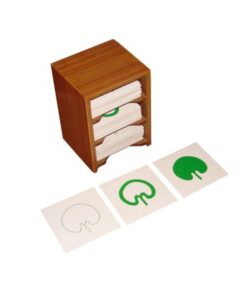Botany Form Cards