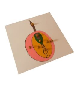 Seed Puzzle