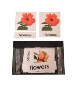 3 Part Nomenclature Cards: Flowers