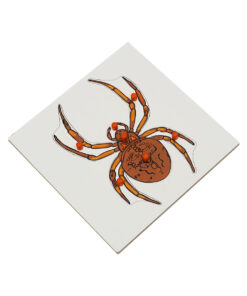 Montessori Premium Spider Puzzle Image1