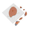 Montessori Premium Tortoise Puzzle Image2